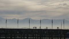 2016-01 Narrentreffen Lindau (2)